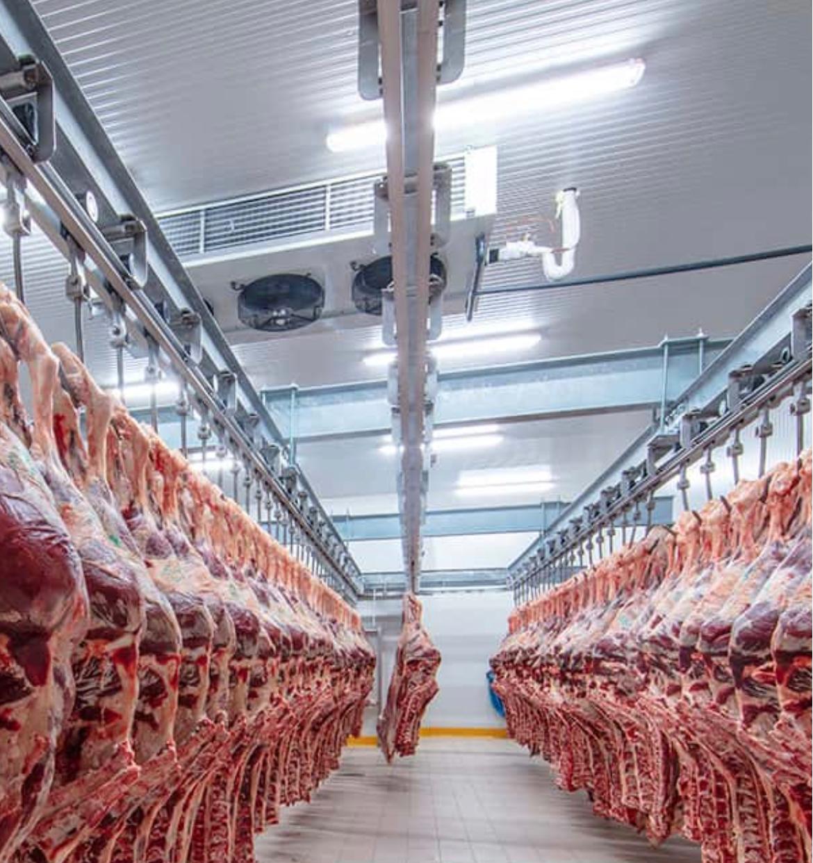Commercial refrigerated cold room